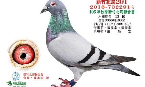 黄珠子副作用有哪些-黄珠子副作用是什么,中国黄珠子副作用网站